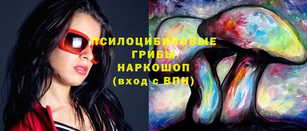 скорость Пестово