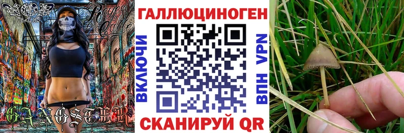 kraken онион  Светлоград  Псилоцибиновые грибы прущие грибы 