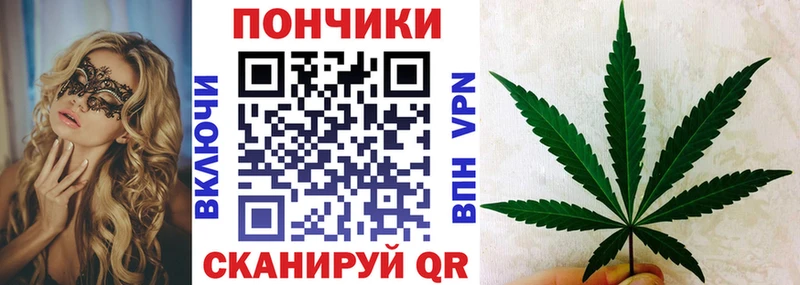 Бошки Шишки сатива Светлоград
